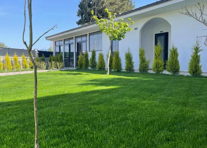 Airport Alibaba House