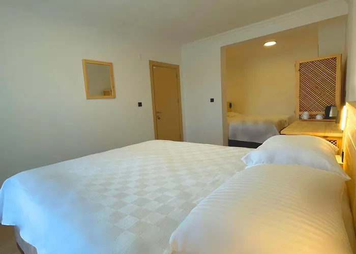 Hotel Airport Alibaba Dalaman