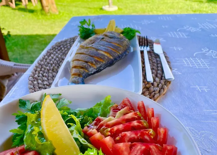 Hotel Airport Alibaba Dalaman