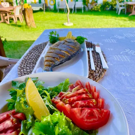 Hotel Airport Alibaba Dalaman