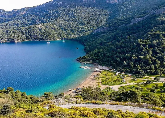 Airport Alibaba דלמן