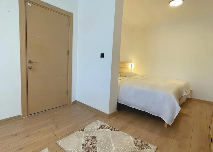 Airport Alibaba * דלמן