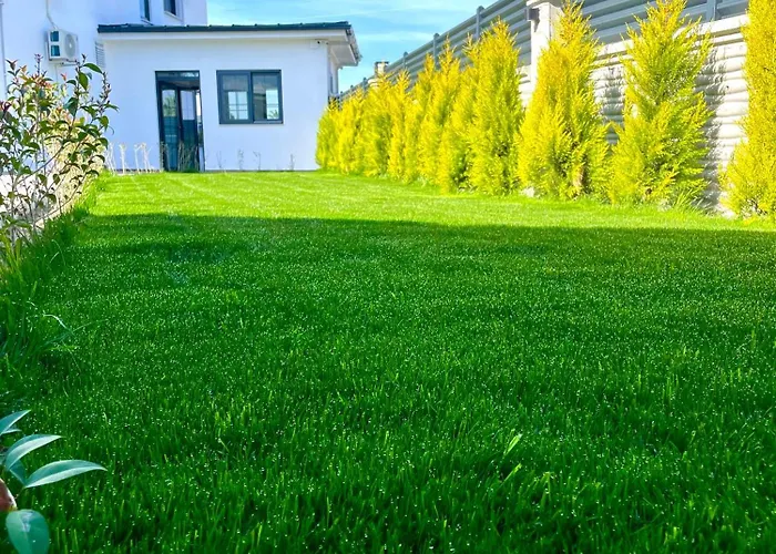 Airport Alibaba דלמן